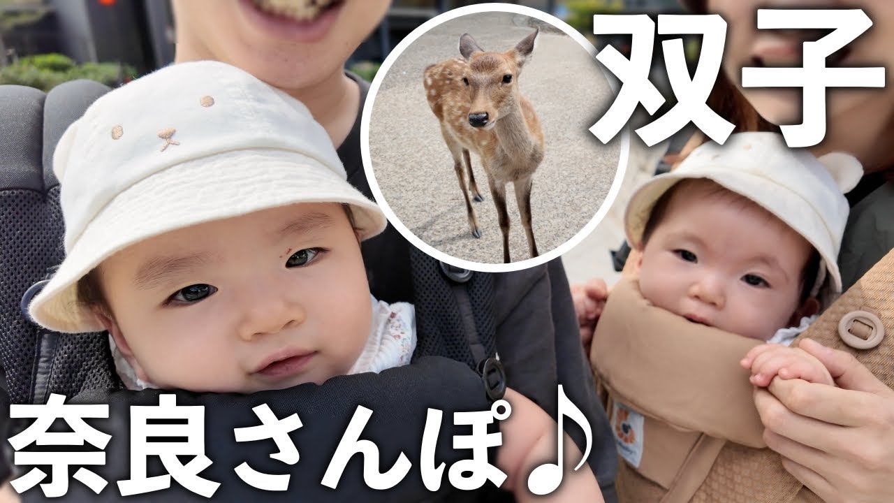 Близнецы встречают оленей в парке Нара 🦌