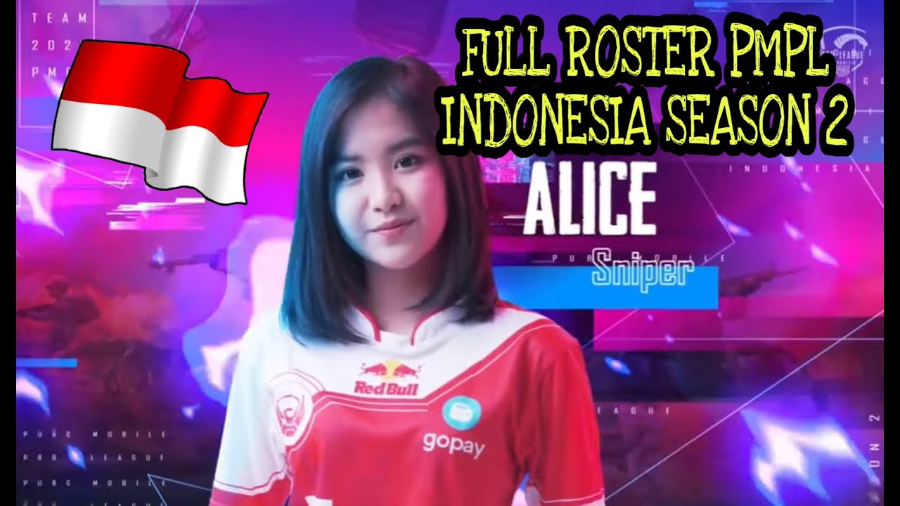 FINAL ROSTER 24 TIM PUBG PMPL SEASON 2 INDONESIA
