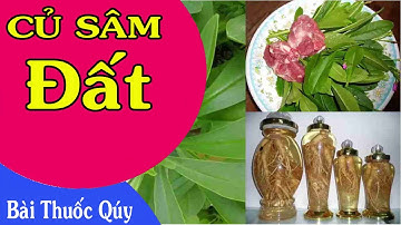 Sự thật về những công dụng thần kỳ của củ sâm đất theo chuyên gia Đông y chia sẻ!