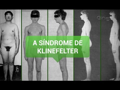 Vídeo: Anomalia Genètica Del Fetge En Gossos