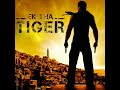 Ek tha Tiger theme