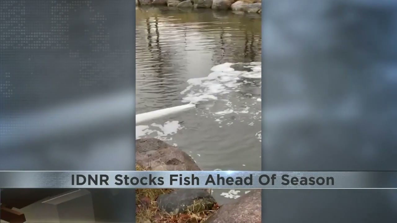 Kishwaukee River stocked with trout ahead of spring fishing season