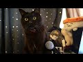 [echo cat]All the cats were in tears. A long, logically sound response.