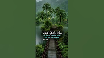 سورة البقرة #اكسبلور #duet #المصحف #الرحمن