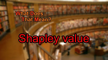 What does Shapley value mean?