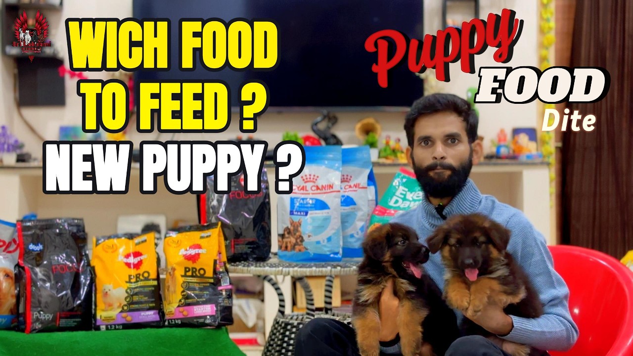 what-to-feed-1-month-age-puppy-puppy-food-diet-chart-how-to-give