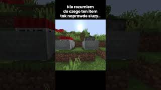 Why The Hell Is This In Minecraft?