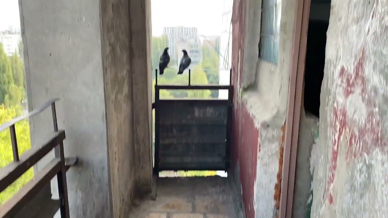 (036.0/624) Лифты BTL 2022 г. 400 кг. ; 630 кг. / Баррикадная 37