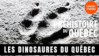 Les dinosaures du Québec  La préhistoire du Québec