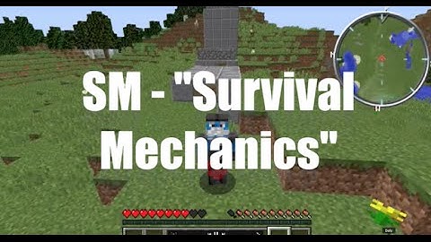 Minecraft 1-minute Plugin Review "Survival Mechanics" 1.10.2