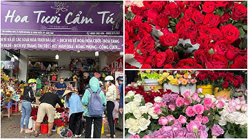 NGÀY PHỤ NỮ 8-3 tại TP CẦN THƠ🌺ngày 8-3-2024🌺cần thơ ký sự