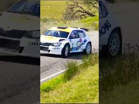 Best way to attack a hairpin #rally #cars #skoda