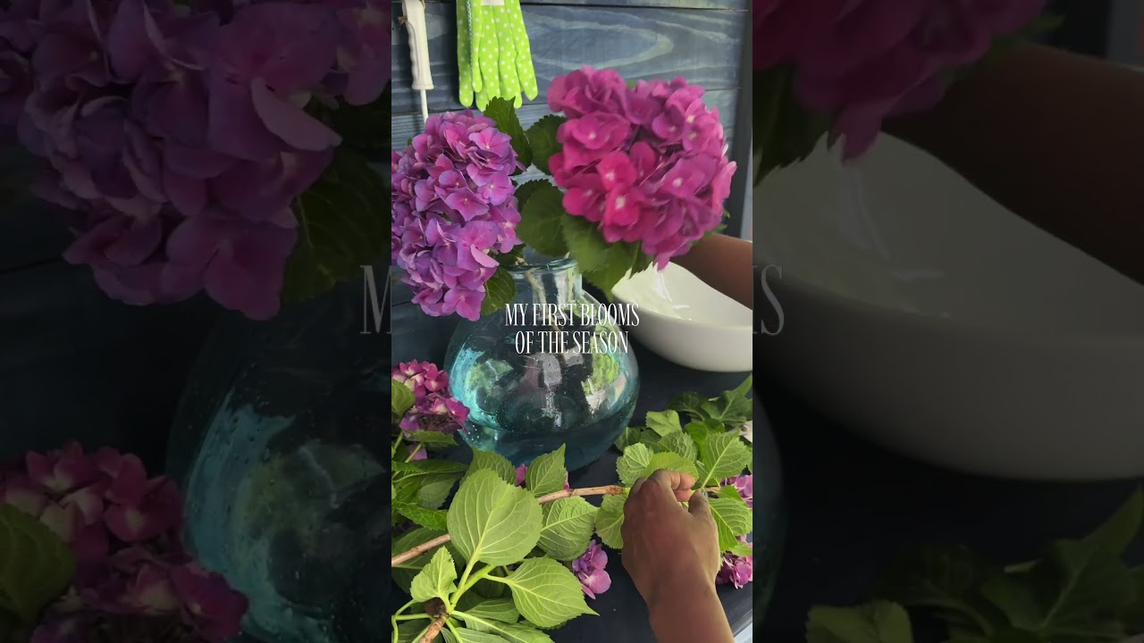 Turning My First Spring Blooms Into a Beautiful Arrangement