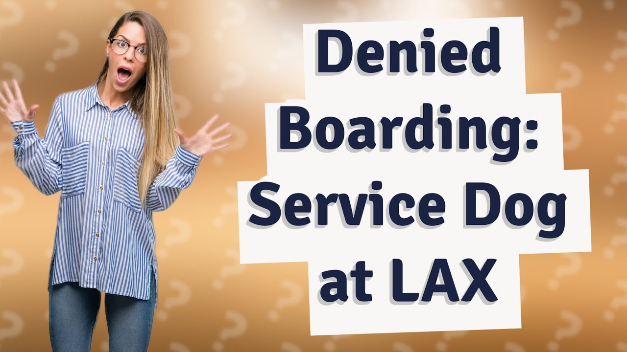 Why Did American Airlines Deny Boarding to a Service Dog at LAX? YouTube