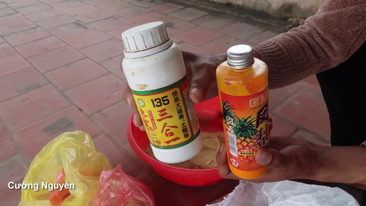 Mồi Câu Cá Chép,Trôi Kết Hợp Từ Tinh Mùi Và Cám - youtube
