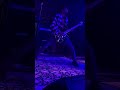 #guitarsolo #guitar #livemusic #rockmusic #band
