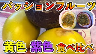 【解説動画】パッションフルーツ（パープルとイエロー）の食べ方！特徴を解説！