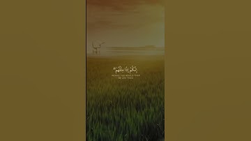 وقد نزل عليكم في الكتاب أن إذا سمعتم آيات الله يكفر بها ويستهزأ بها فلا تقعدوا معهم | عبدالله الموسى