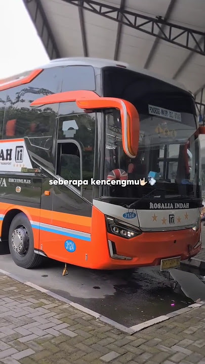 Story'WA bus ROSALIA INDAH mboiss 30 detik