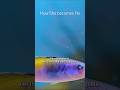 How She becomes He 🫣🤫?Gender transition #wrasse #fish #aquatic #ocean #life #youtubeshorts #shorts