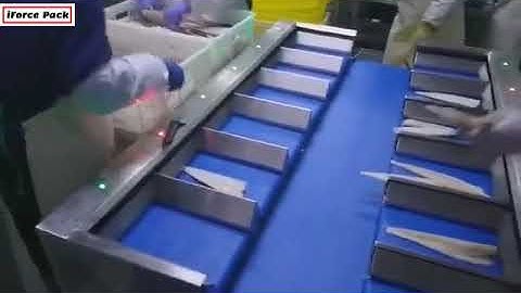 Automatic pre loading conveyor belt weighing selecting sorting machine weight checking conveyor