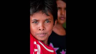 Burmese All About Autism