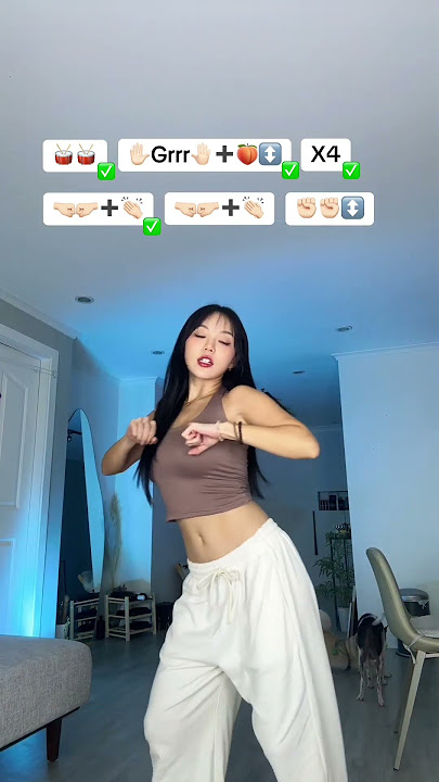 DAM UN GRRR Dance Challenge // Dasuri Choi