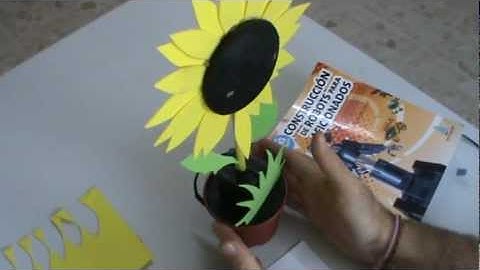Arahal. Girasol siguiendo una fuente de luz, arduino. Sunflower following a light source. Ramos