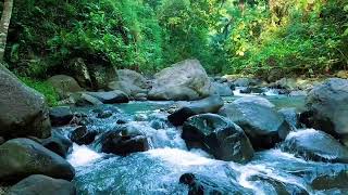 Ambient River Waters: Asmr Relaxation With Soft River Sounds And Nature’s Peaceful Flow screenshot 5