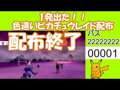 ポケモン剣盾 １発 色違いピカチュウレイド出たので配布します Youtube