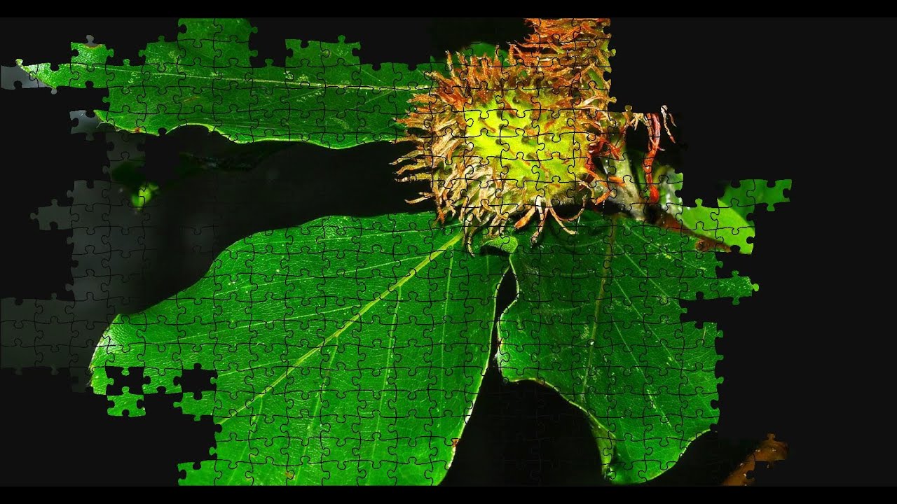 Fruits and Leaves Puzzle Time Lapse 500pcs