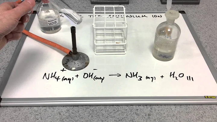 Testing for the ammonium ion