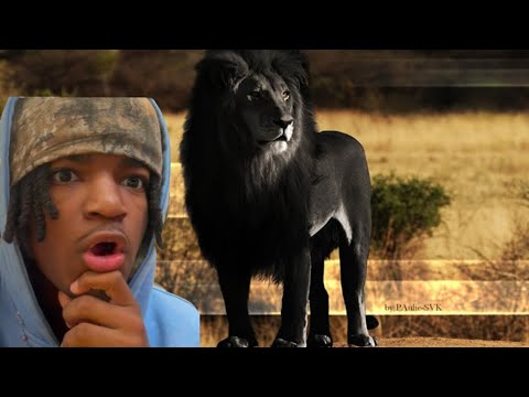 Kyron Reacts To 15 Scary Hybrid Animals That Actually Exist (CREEPY)