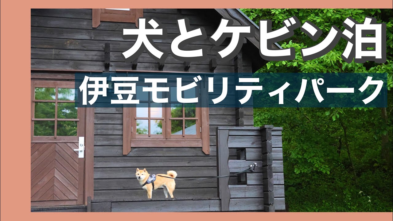 【犬連れキャンプ】高規格キャンプ場で犬とケビン泊 伊豆モビリティパーク GW静岡の旅