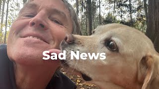 Sad News About Pippi by Veterinary Secrets 41,282 views 2 months ago 4 minutes, 10 seconds