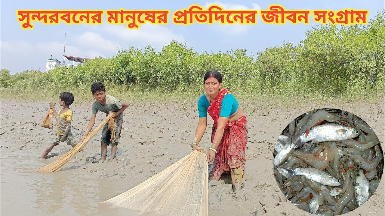 সুন্দরবনের মানুষের প্রতিদিনের জীবন সংগ্রাম! River fishing || Nandita Sundarban life