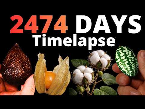 I filmed 2474 DAYS of Exotic Plants – Here's What Happened