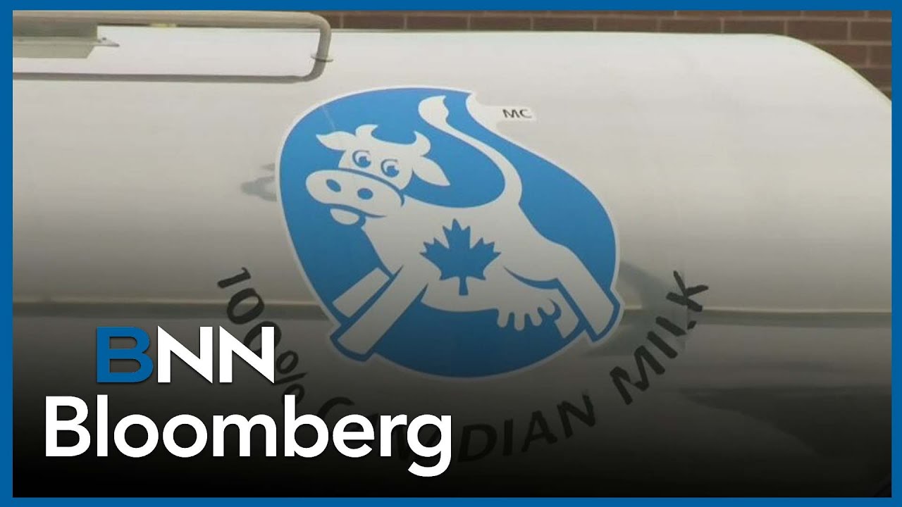 'There is space for Canada to make changes that would make the Americans happy': McCann on CUSMA