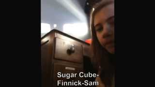 Sugar Cube Hunger Games Catching Fire