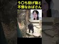 う〇ち投げ猿を見るにゅう