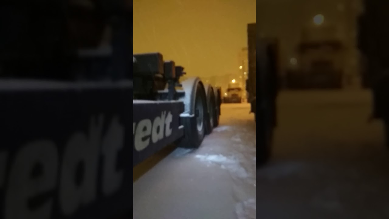 Ленивец на автомобиле