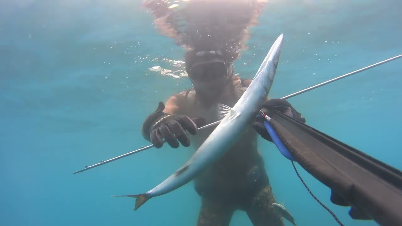 Pescasub🔱Spearfishing:Catture Pathos SNIPER-R Roller 85/elastico rob allen 16mm by REGGIO CALABRIA