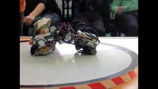 Самая жаркая схватка Lego сумо Самая жаркая схватка Lego сумо