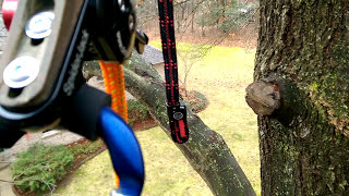 Get Your Gear Ready For Treeclimbing Fun: Tech Talk Tips! #petzl #treeclimbing #climbing #srt