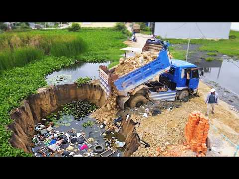 Terrific coordination: heavy tippers and excavators fill a trash-choked, overgrown flooded zone.