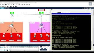 RIP ROUTING _ Network Testing