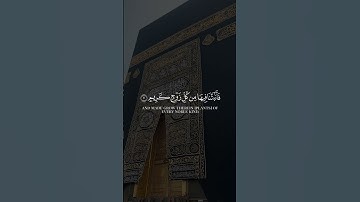 هذا خلق الله من سورة لقمان قران كريم القارئ الشيخ ياسر الدوسري