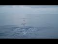 Allagrande Mapei Racing | NEWS ONBOARD | The Ocean Race Europe | Leg 5 | Day 6 | Boat Feed #1