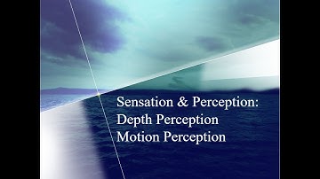 Unit 3: Depth & Motion Perception