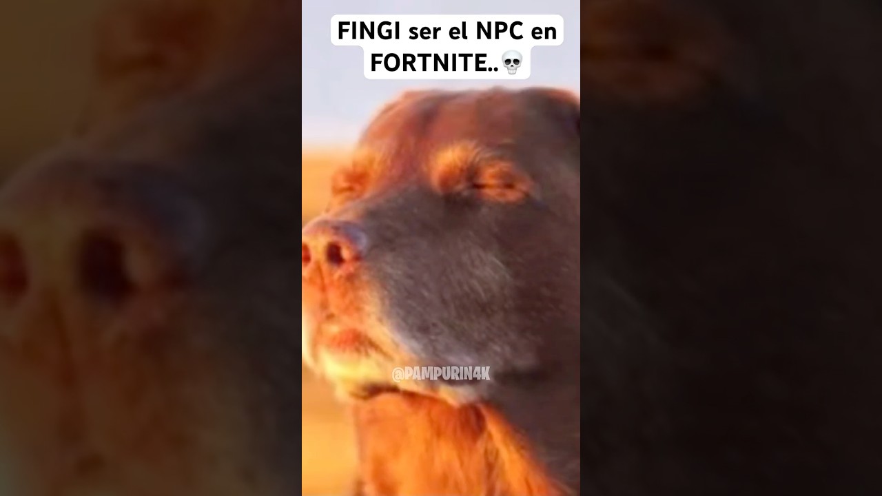 Fingí ser un NPC en Fortnite 